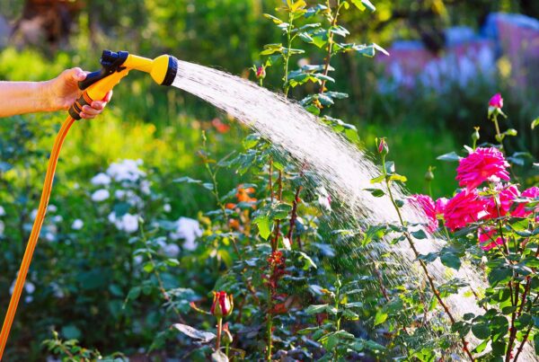 how to water landscaping in Central Ohio